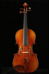 Fiddlover Artist Intermediate Violin w/Case And Bow Q028-2